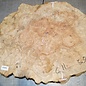 Amboina burl, approx. 640 x 470 x 45mm, 6,1kg