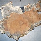 Amboina burl, approx. 680 x 580 x 50mm, 8,2kg