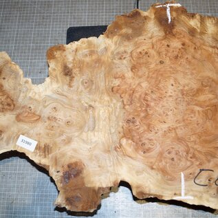 Amboina burl, approx. 640 x 410 x 100mm, 5,4kg