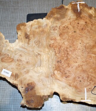 Amboina burl, approx. 640 x 410 x 100mm, 5,4kg
