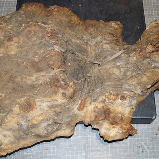 Amboina burl, approx. 640 x 410 x 100mm, 5,4kg