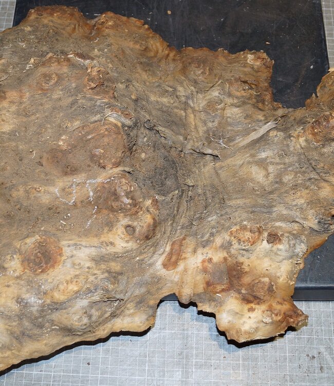 Amboina burl, approx. 640 x 410 x 100mm, 5,4kg