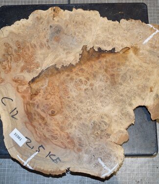 Amboina Maser, ca. 440 x 420 x 35mm, 2,6kg