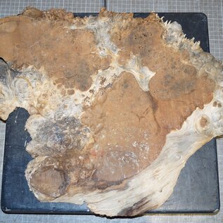 Amboina burl, approx.  440 x 420 x 35mm, 2,6kg