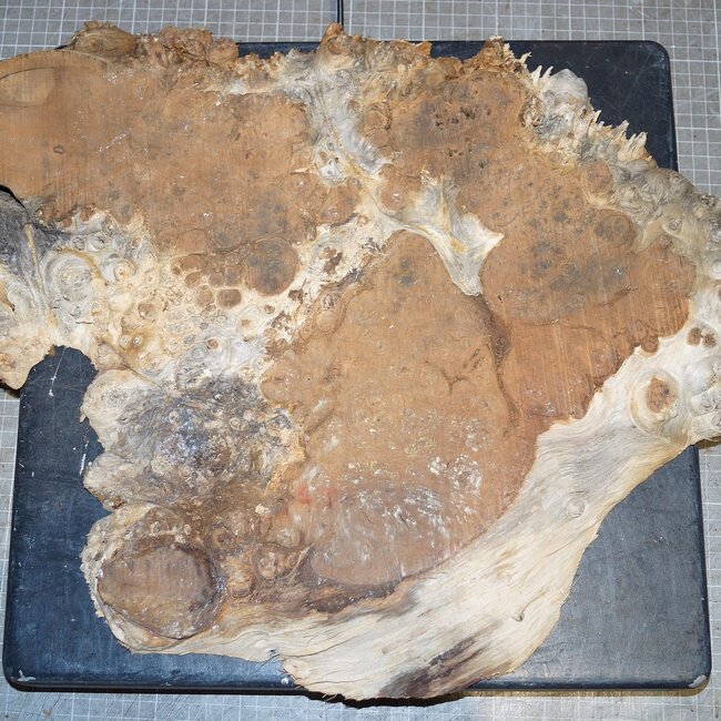 Amboina Maser, ca. 440 x 420 x 35mm, 2,6kg