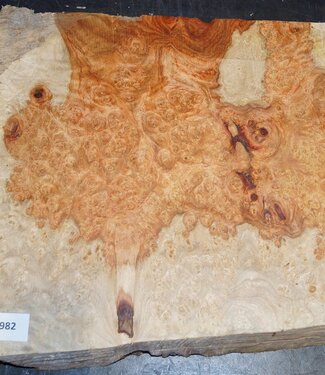 Amboina Maser, ca. 410 x 250-300 x 30mm, 2,9kg