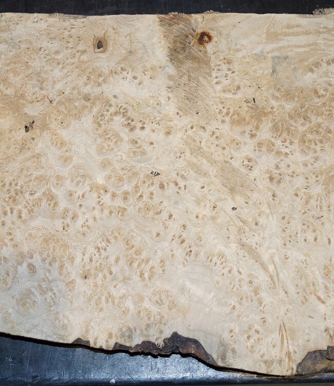 Amboina burl, approx. 410 x 250-300 x 30mm, 2,9kg