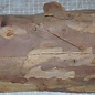 Yew, approx. 270 x 140 x 70mm, 1,6kg