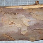 Eibe, ca. 250 x 120 x 70mm, 1,3kg