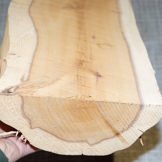 Yew, approx. 370 x 155 x 75mm, 2,6kg