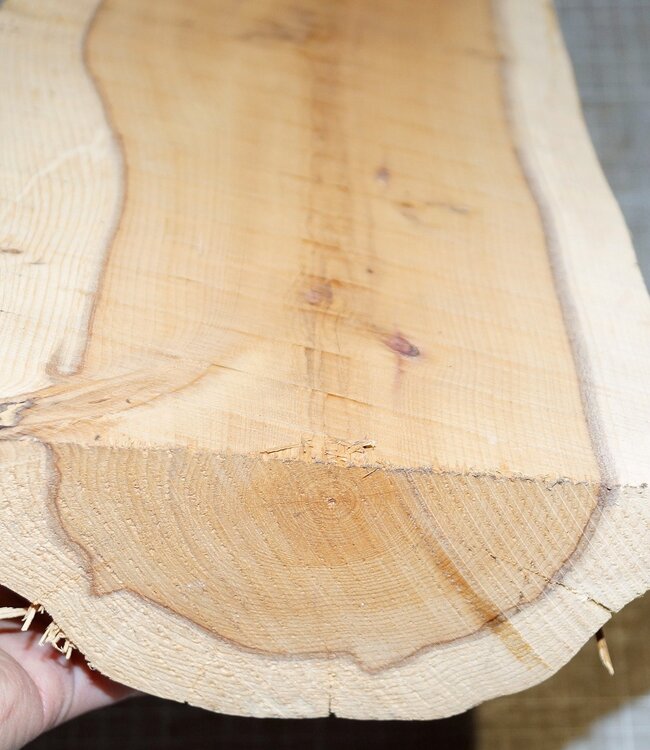 Yew, approx. 370 x 155 x 75mm, 2,6kg