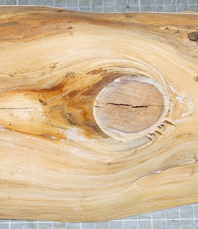 Eibe, ca. 390 x 145 x 65mm, 2,3kg