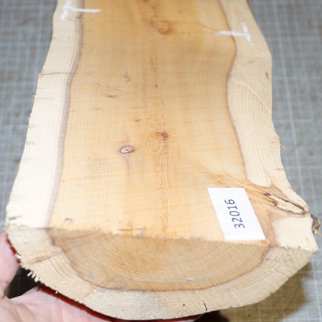 Eibe, ca. 390 x 145 x 65mm, 2,3kg