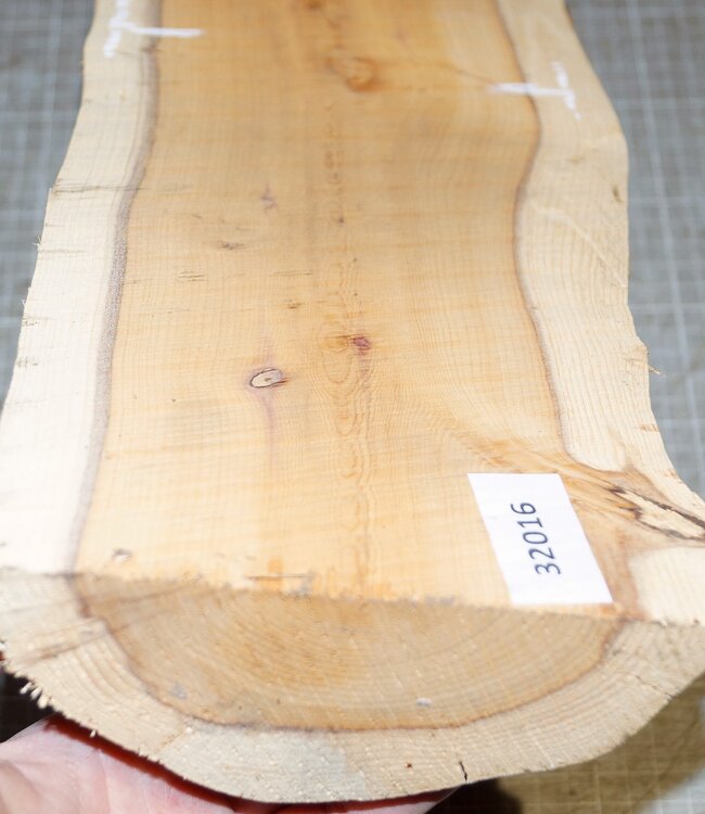 Eibe, ca. 390 x 145 x 65mm, 2,3kg