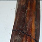 Schlangenholz Halbstamm, ca. 1019 x 135 x 70mm, 12,15kg