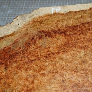 Amboina burl, approx. 550 x 200-350 x 60-85mm, 9,2kg