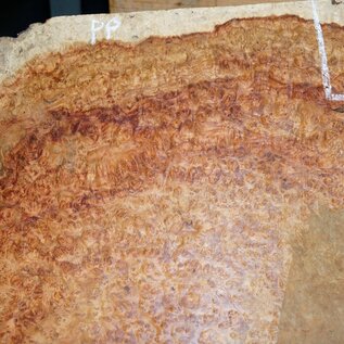 Amboina burl, approx. 550 x 200-350 x 60-85mm, 9,2kg