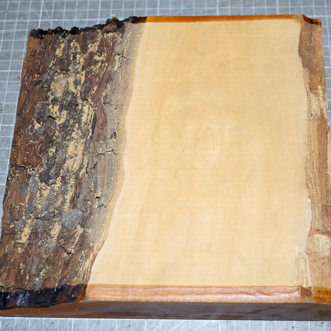 European cherry approx. 220 x 215 x 50mm, 1,4kg