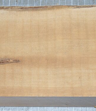 Kirsche EU, ca. 300 x 135 x 54mm, 1,5kg