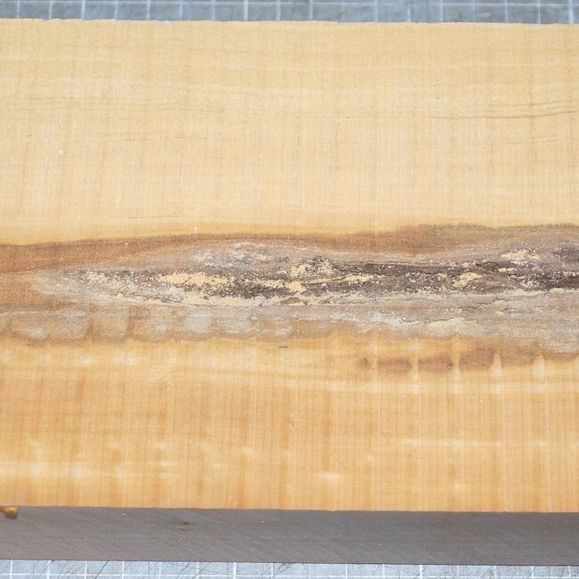 Kirsche EU, ca. 300 x 135 x 54mm, 1,5kg