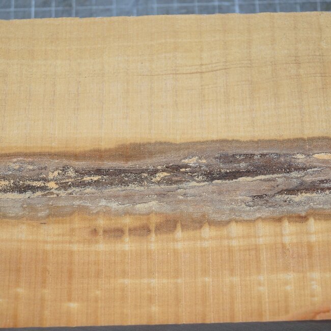 Kirsche EU, ca. 300 x 135 x 54mm, 1,5kg