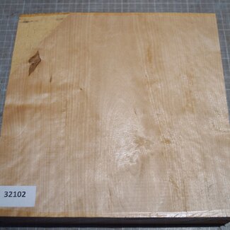 Eisbirke, ca. 250 x 252 x 65mm, 2,78kg