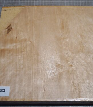 Eisbirke, ca. 250 x 252 x 65mm, 2,78kg