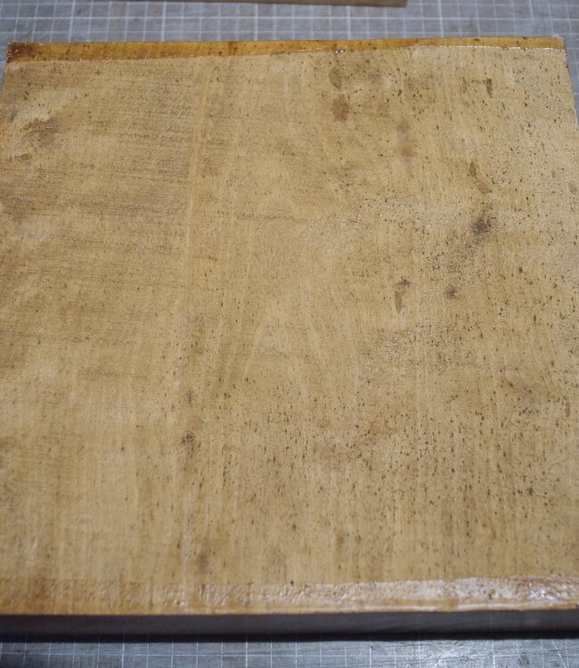 Eisbirke, ca. 250 x 252 x 65mm, 2,78kg