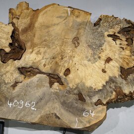 Buckeye burl slab, approx. 1000 x 640 x 55 mm, 12,43 kg, 40962