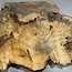 Buckeye burl slab, approx. 1000 x 640 x 55 mm, 12,43 kg, 40962