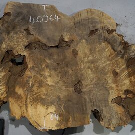 Buckeye burl slab, approx. 990 x 640 x 55 mm, 12,61 kg, 40964