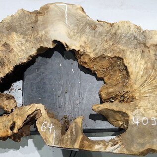 Buckeye burl slab, approx. 1640 x 640 x 55 mm, 11,93 kg, 40966