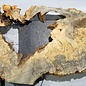 Buckeye burl slab, approx. 1640 x 640 x 55 mm, 11,93 kg, 40966