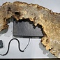 Buckeye burl slab, approx. 1480 x 520/310 x 55 mm, 9,71 kg, 40969