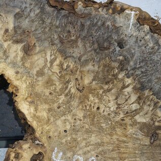 Buckeye burl slab, approx. 1480 x 520/310 x 55 mm, 9,71 kg, 40969