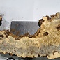 Buckeye burl slab, approx. 1480 x 520/310 x 55 mm, 9,71 kg, 40969