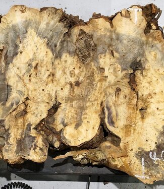 Buckeye Maser, ca. 960 x 400 x 55 mm, 7,3 kg, 40970