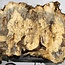 Buckeye burl slab, approx. 960 x 400 x 55 mm, 7,3 kg, 40970