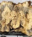 Buckeye burl slab, approx. 960 x 400 x 55 mm, 7,3 kg, 40970