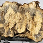 Buckeye burl slab, approx. 960 x 400 x 55 mm, 7,3 kg, 40970