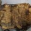Buckeye burl slab, approx. 960 x 400 x 55 mm, 7,3 kg, 40970