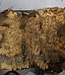 Buckeye burl slab, approx. 960 x 400 x 55 mm, 7,3 kg, 40970