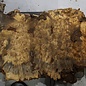 Buckeye burl slab, approx. 960 x 400 x 55 mm, 7,3 kg, 40970