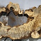 Buckeye burl slab, approx. 1580 x 540 x 55 mm, 10,84 kg, 40971