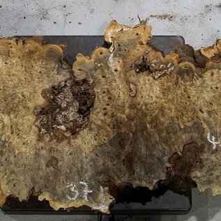 Buckeye burl slab, approx. 1150 x 370 x 55 mm, 6,94 kg, 40974