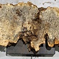 Buckeye burl slab, approx. 1150 x 370 x 55 mm, 6,94 kg, 40974