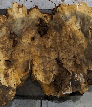 Buckeye burl slab, approx. 970 x 380 x 55 mm, 6,3 kg, 40975