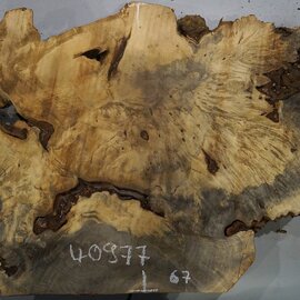 Buckeye burl slab, approx. 1000 x 670 x 55 mm, 13,02 kg, 40977