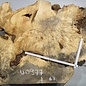 Buckeye burl slab, approx. 1000 x 670 x 55 mm, 13,02 kg, 40977