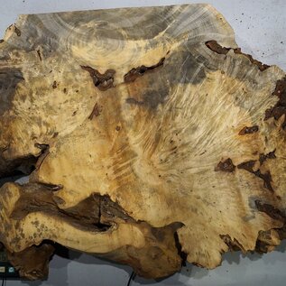 Buckeye burl slab, approx. 1000 x 670 x 55 mm, 13,02 kg, 40977